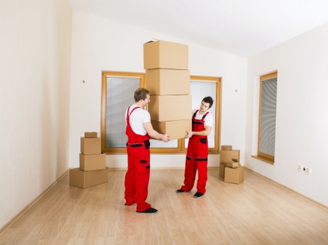 Local Lee man with a van for furniture and deliveries