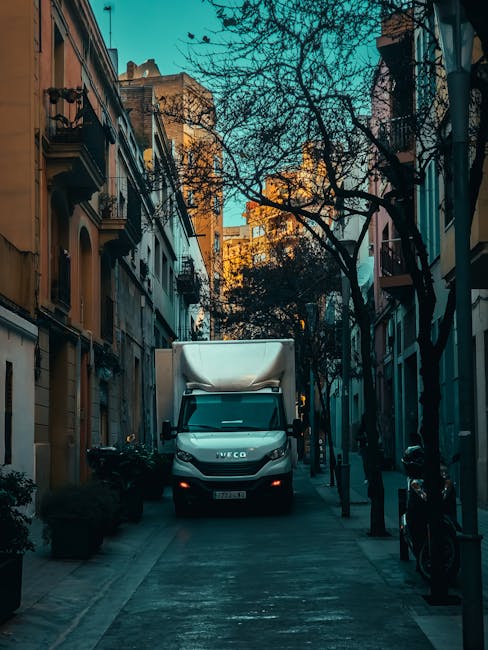 A man with an afro hairstyle and a beard, dressed in a navy blue t-shirt with a printed logo on the chest and dark trousers, stands inside a bright, empty room with high ceilings and a large arched window. He is holding a cardboard box with red packing tape around it, preparing for a home relocation. In front of him, two other cardboard boxes are placed on the light wooden floor, one on top of the other, indicating a loading or packing process typical of furniture transport and moving logistics. The scene is well-lit with natural daylight streaming through the window, emphasizing the indoor environment associated with house removals. Man With a Van Lee specializes in removals, and this image illustrates the packing stage of an organized house move involving careful handling of boxed belongings and efficient loading procedures.